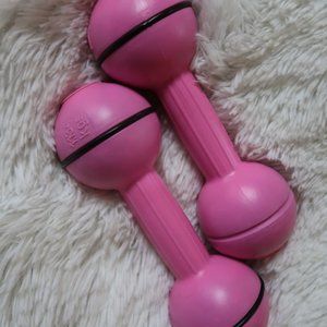 Everlast 2.5 Lbs Dumbbells Weights